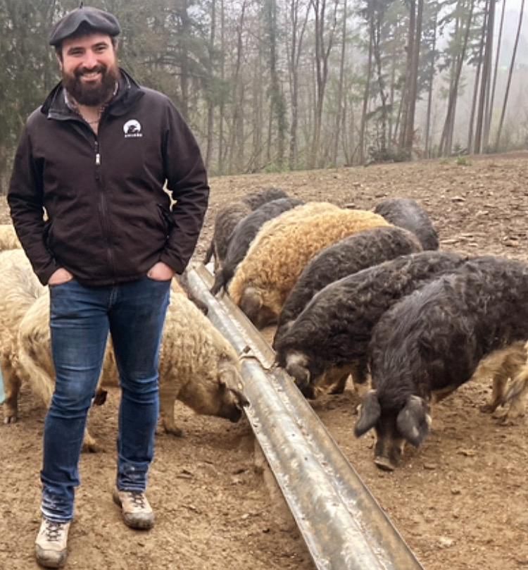 Mangalitza Lomo