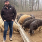 Mangalitza Lomo